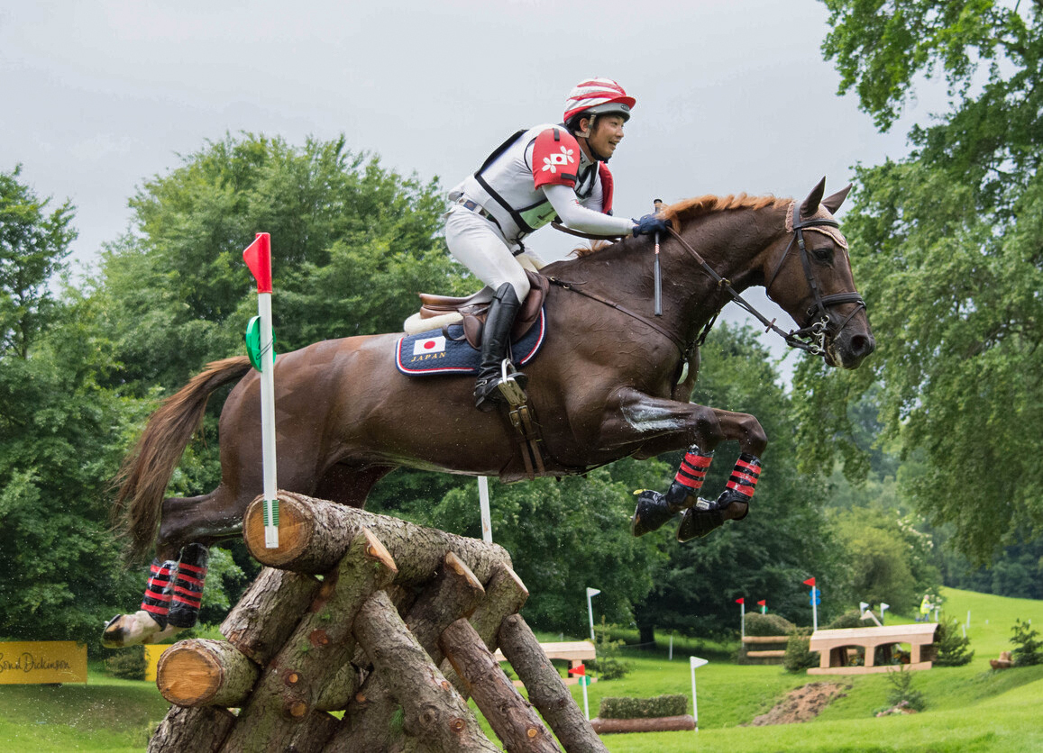 June - Jumping for Joy by James McHugh